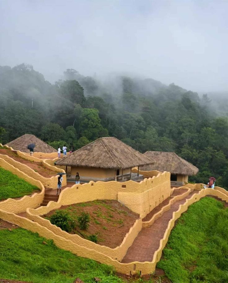 Wayanad waterfalls and forest
