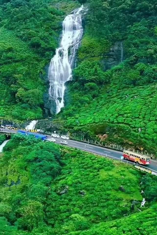 Munnar destination
